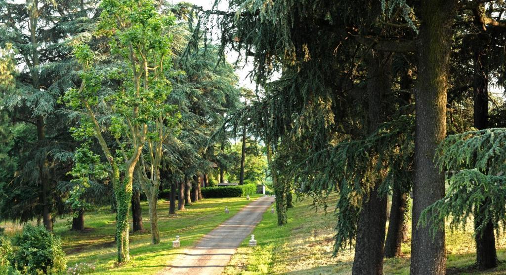 Logis De Nantas Bed & Breakfast Saint-Jean-Bonnefonds Екстериор снимка